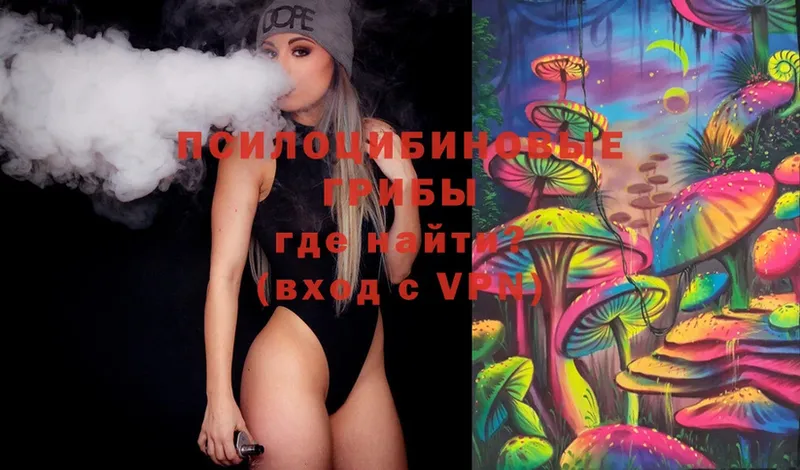 Псилоцибиновые грибы Psilocybine cubensis  Аша 